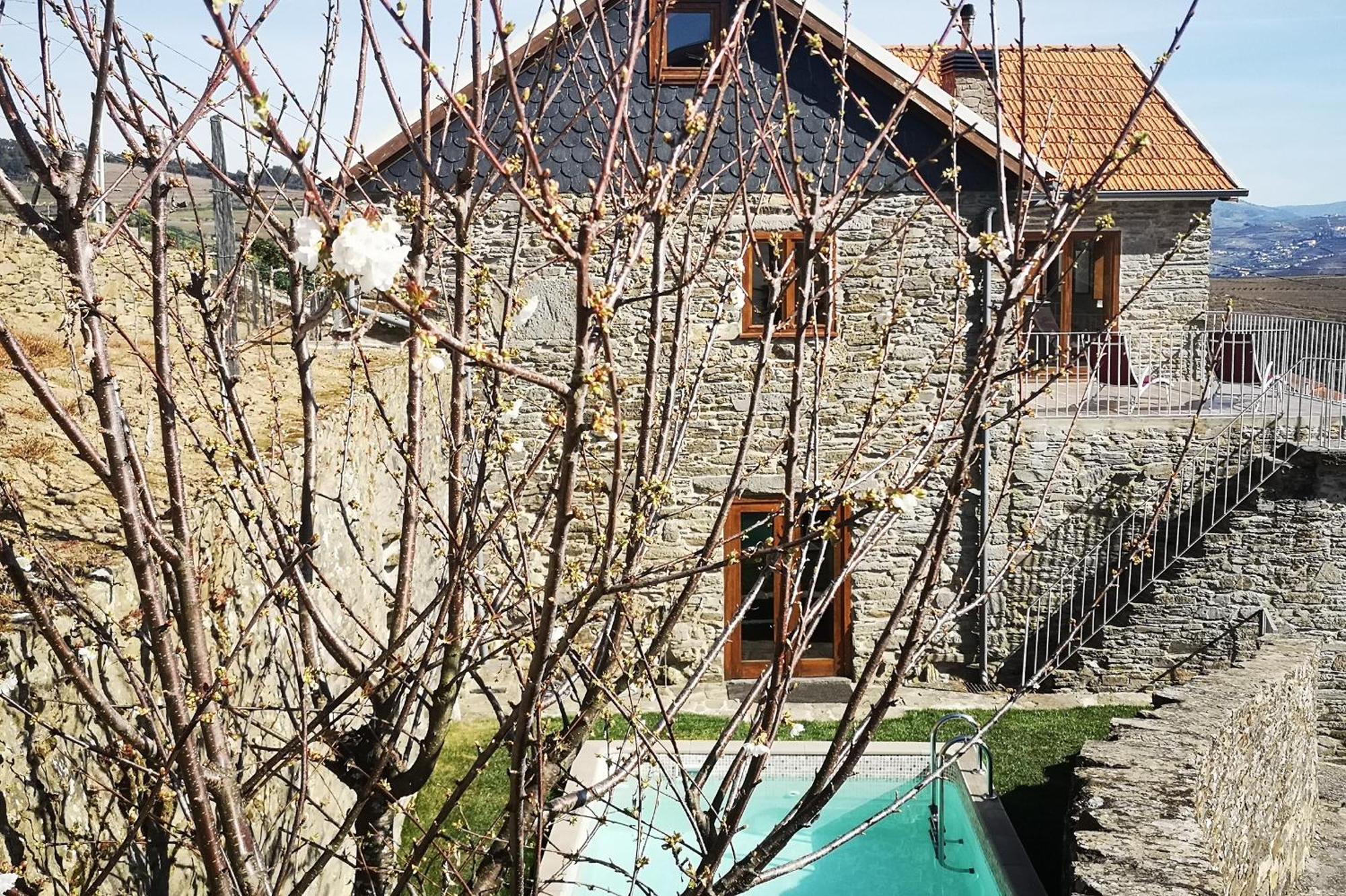 Hébergement de vacances Sobreiro's In Douro Valley *